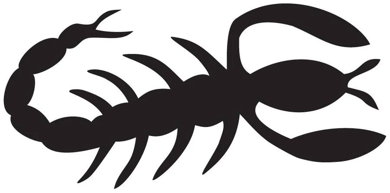 Scorpion class logo